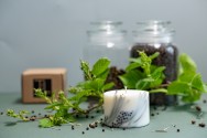 TL Candles Natural soy wax candles soy wax pillar candles botanical candles handmade candles scented candles juniper candle