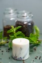 TL Candles Natural soy wax candles soy wax pillar candles botanical candles handmade candles scented candles juniper candle