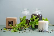 TL Candles Natural soy wax candles soy wax pillar candles botanical candles handmade candles scented candles juniper candle