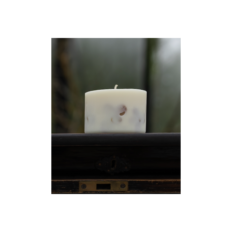 sojas vaska svece TLCandles Melnā orhideja