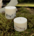 TL Candles Natural soy wax candles soy wax pillar candles botanical candles handmade candles scented candles birch candle